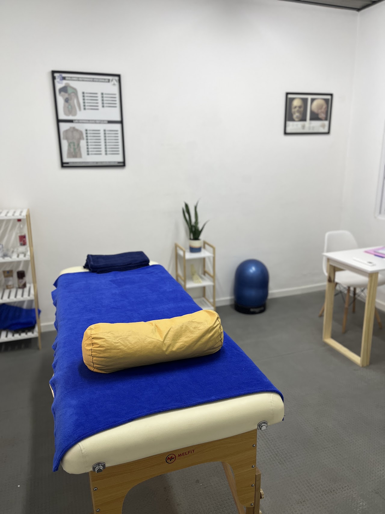 Sala de Pilates Reformer luminosa en Delta Kinesiología